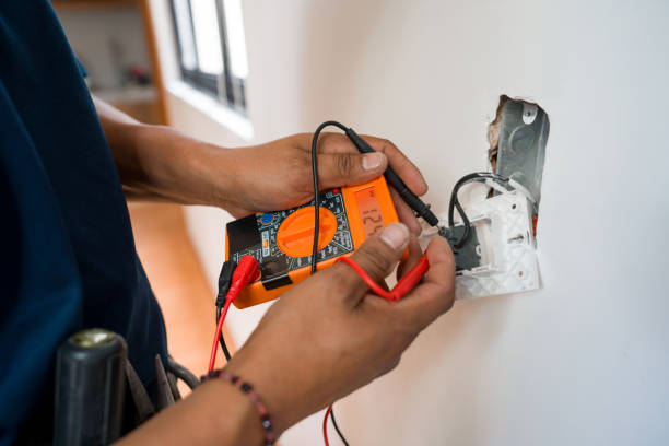 Best Licensed Electrician  in Seyur, MO