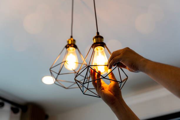 Best Commercial Electrician Services  in Seyur, MO