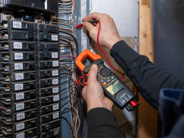 Best Electric Panel Repair  in Seyur, MO