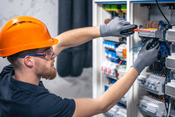 Best Electrical Repair Services  in Seyur, MO